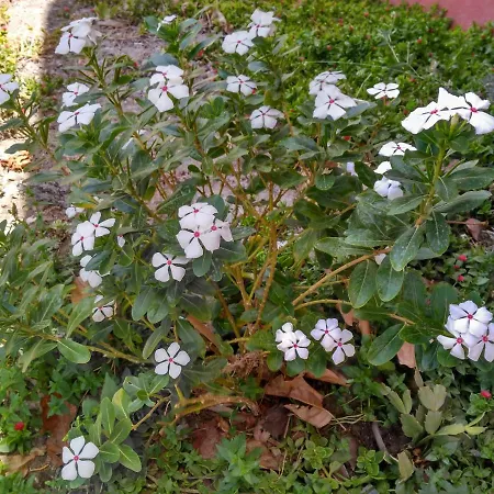 Apartmento Pachamama *